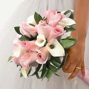 Meet your Posher, Lala